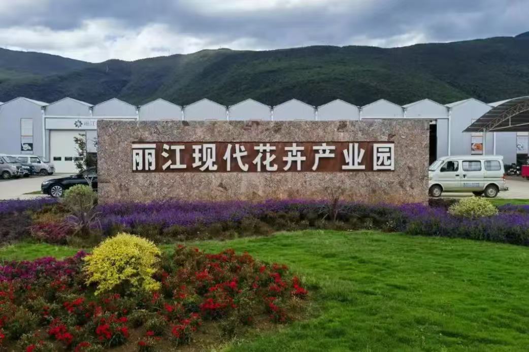 麗江現(xiàn)代花卉產(chǎn)業(yè)園到訪阿拉丁集團(tuán) 麗江現(xiàn)代花卉產(chǎn)業(yè)園到訪阿拉丁集團(tuán)