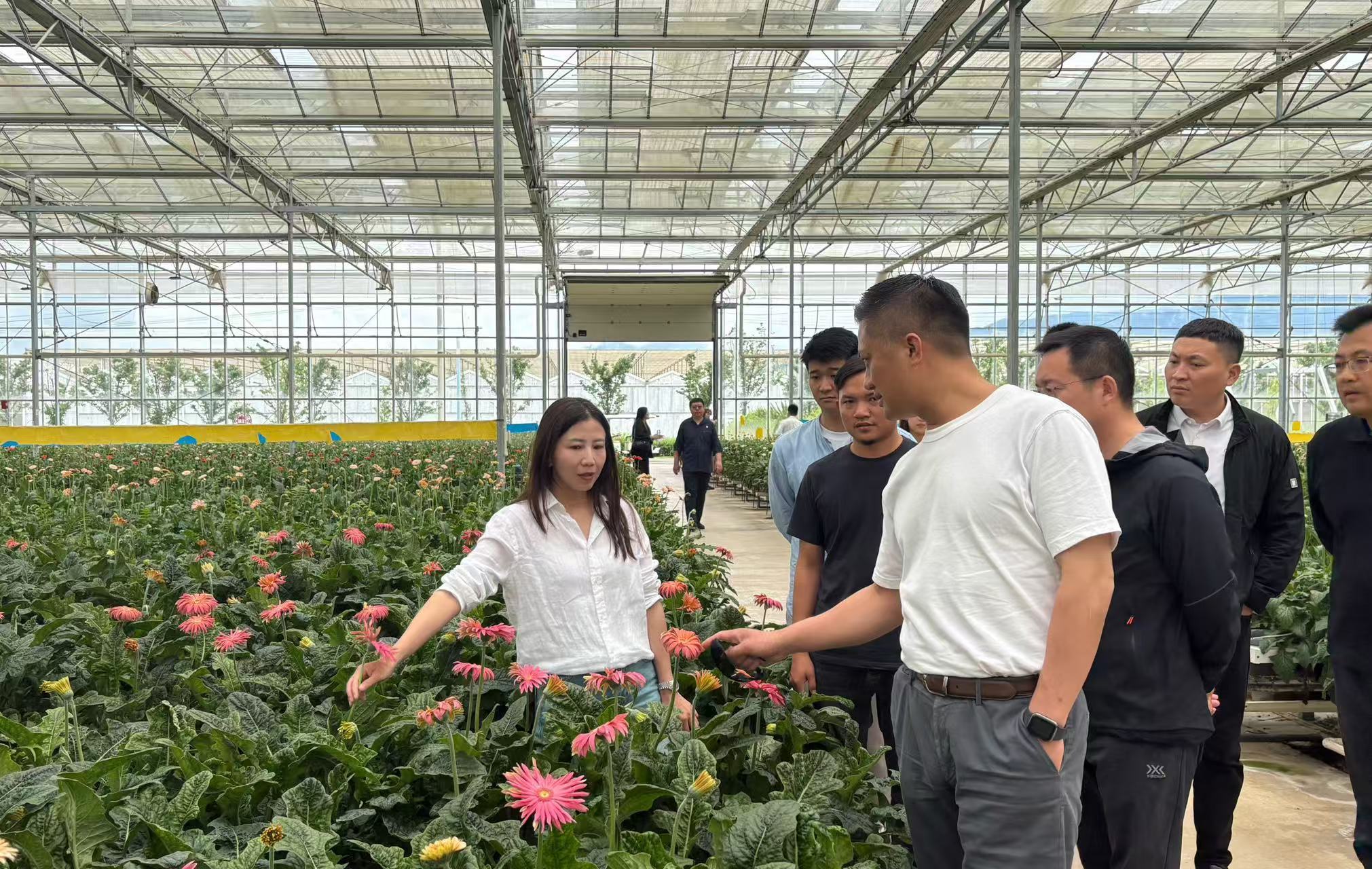 阿拉丁集團(tuán)一行赴云南考察交流